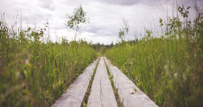 4 Biblical Steps that Will Help You Make Better Choices