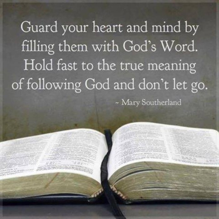 Guard Your Heart