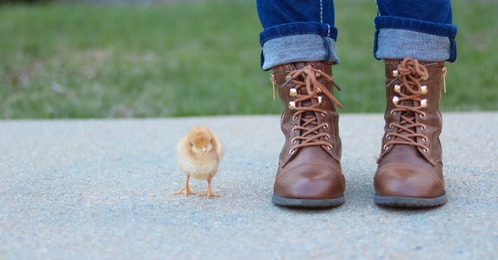 The Weak Duck: A Single Mom’s Easter Lesson