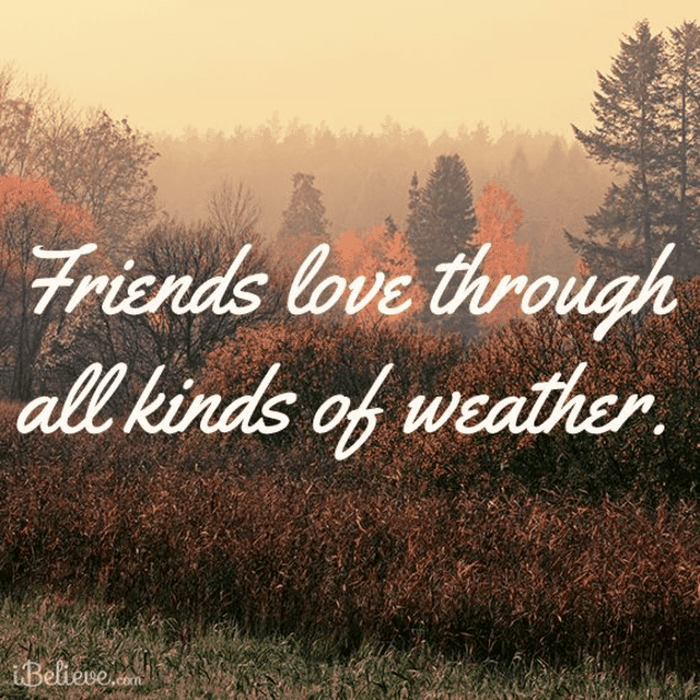 Friends Love Through All Kinds of Weather