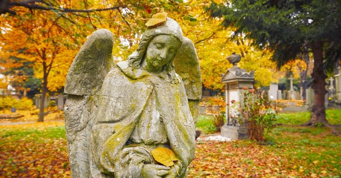 17 Things the Bible Tells Us about Angels