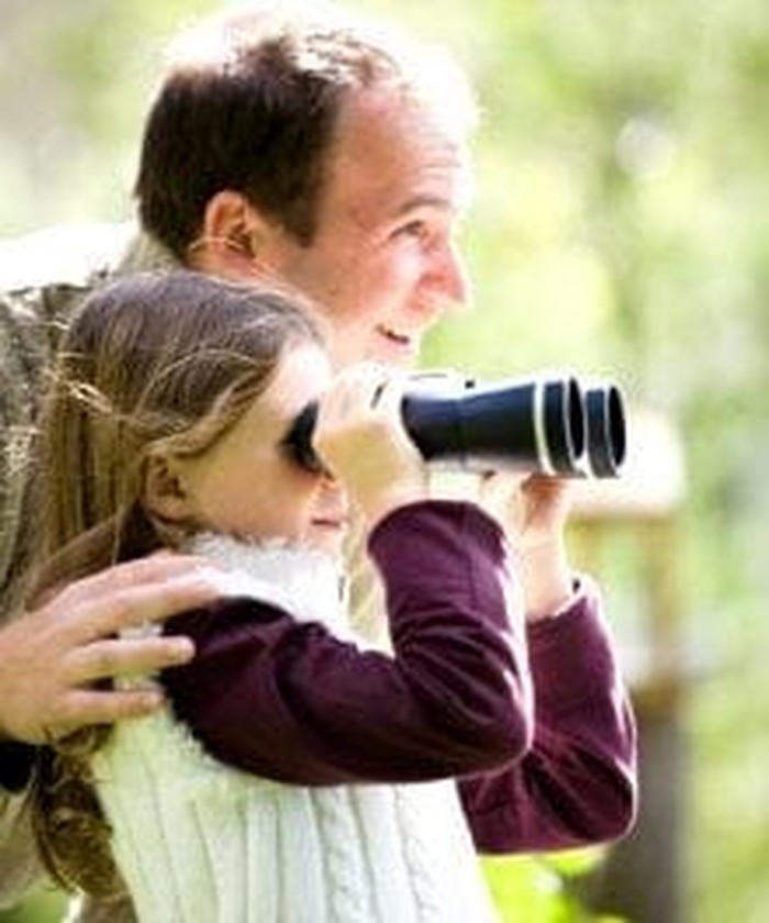 Bird Watching in Great Smoky Mountains National Park