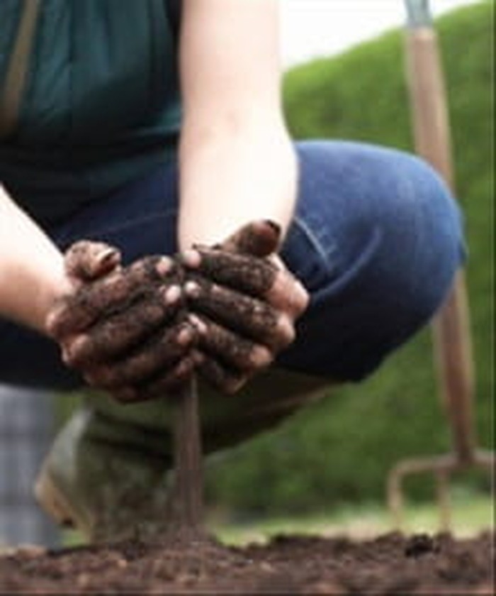 Finding Community in a Garden