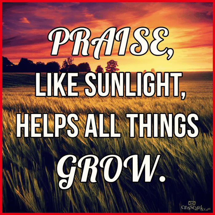 Praise, Like Sunlight, Helps All Things Grow