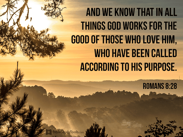 Romans 8:28 - Your Daily Verse