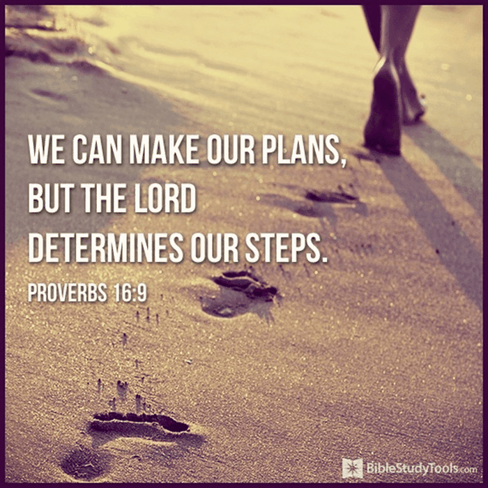 We Can Make Our Plans, but the Lord Determines Our Steps
