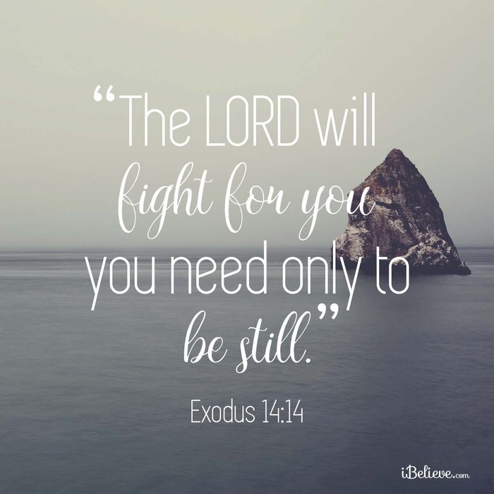 The Lord Will Fight for You