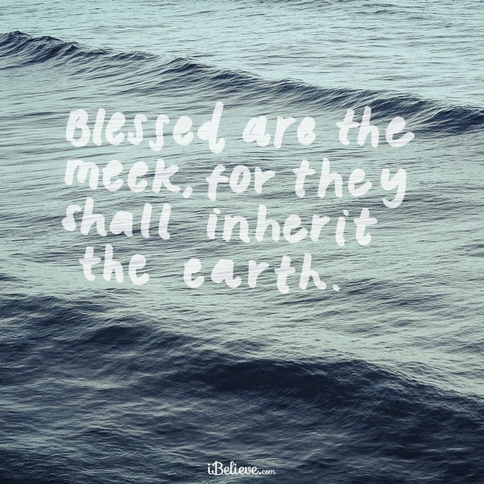 Your Daily Verse - Matthew 5:5