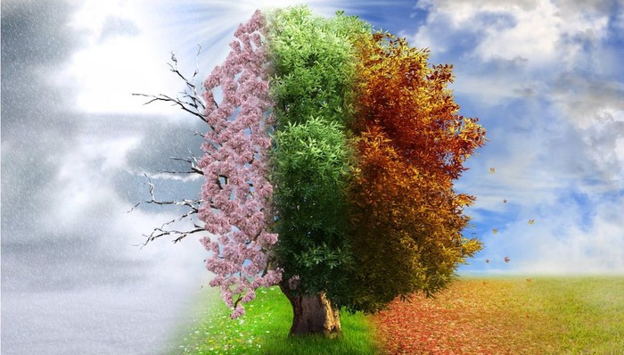 5 Spiritual Seasons in the Christian Life