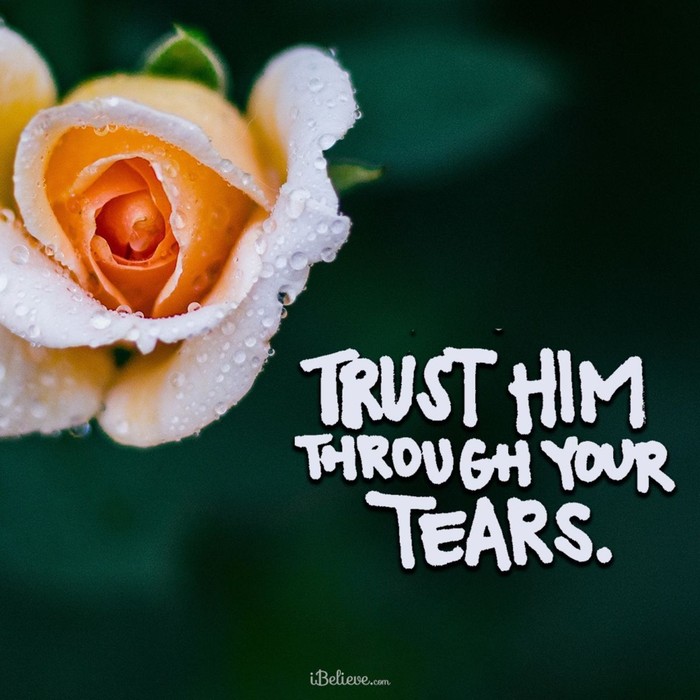 Trust Him through Your Tears