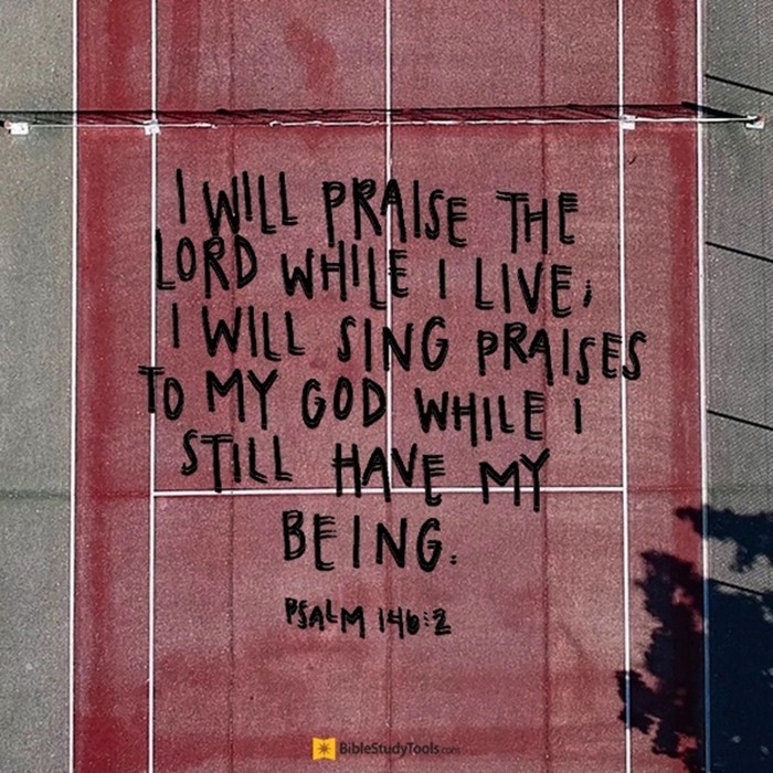 Your Daily Verse - Psalm 146:2