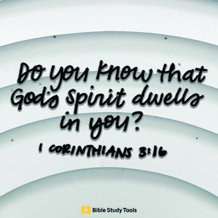 Your Daily Verse - 1 Corinthians 3:16