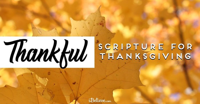 30 Heart-Warming Bible Verses For Thanksgiving & Gratitude