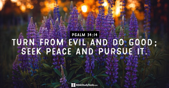 Your Daily Verse - Psalm 34:14