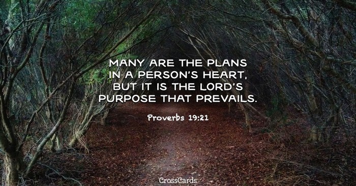 Your Daily Verse Proverbs 19 21 Your Daily Verse