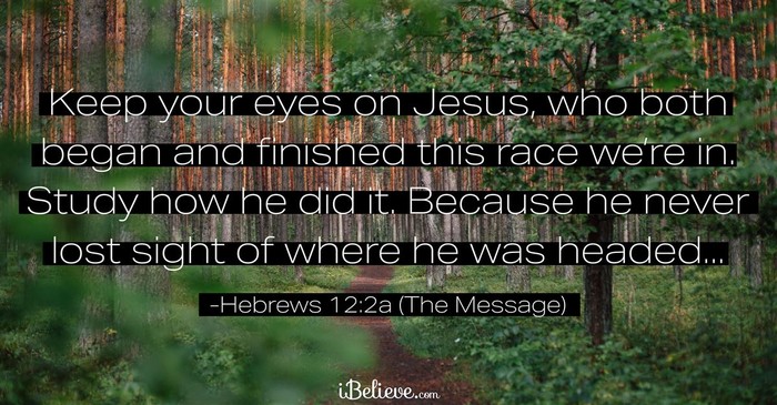 Your Daily Verse - Hebrews 12:2