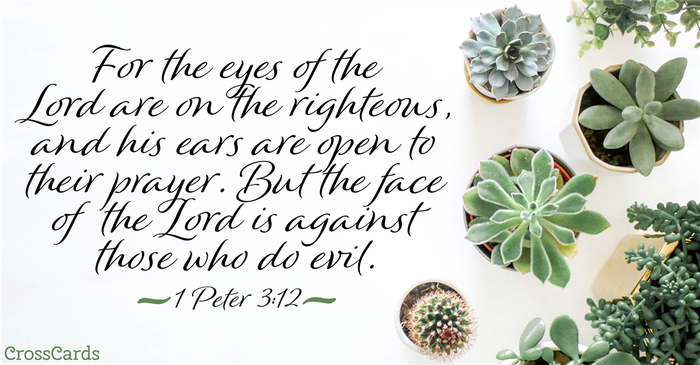 Your Daily Verse - 1 Peter 3:12