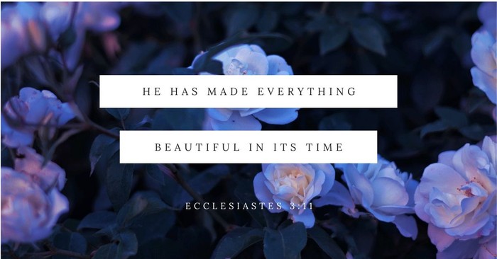 Your Daily Verse - Ecclesiastes 3:11
