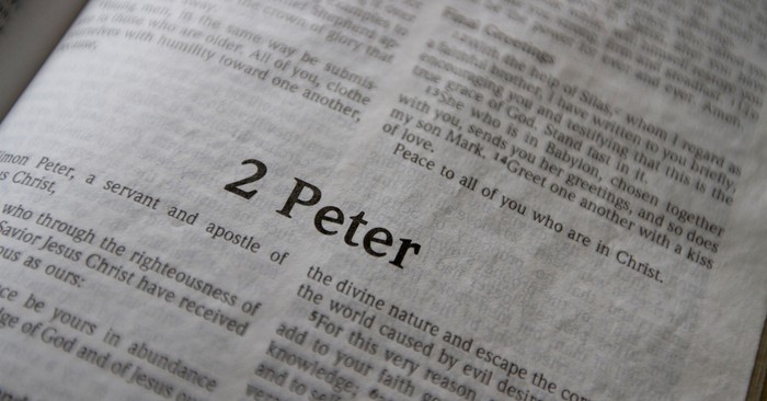 How 2 Peter 1:5-9 Gives Us a Guide for Life in Christ 