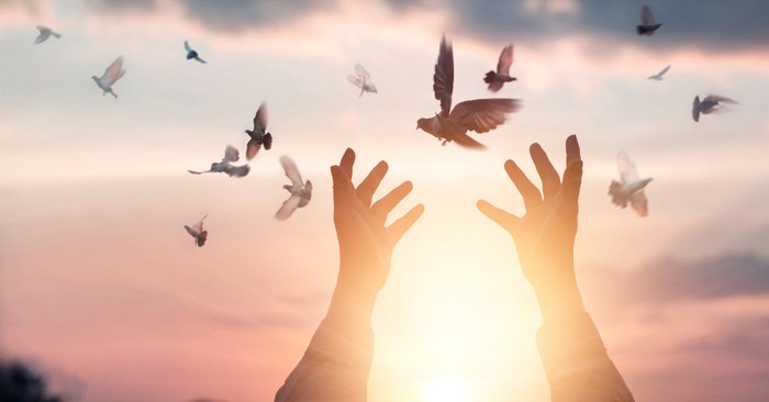 25 Ways the Holy Spirit Works in the Lives of Believers