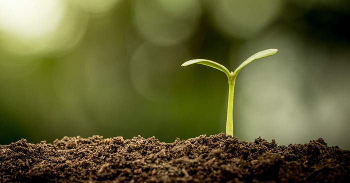 Why Did Jesus Teach about Soil and Sowing?