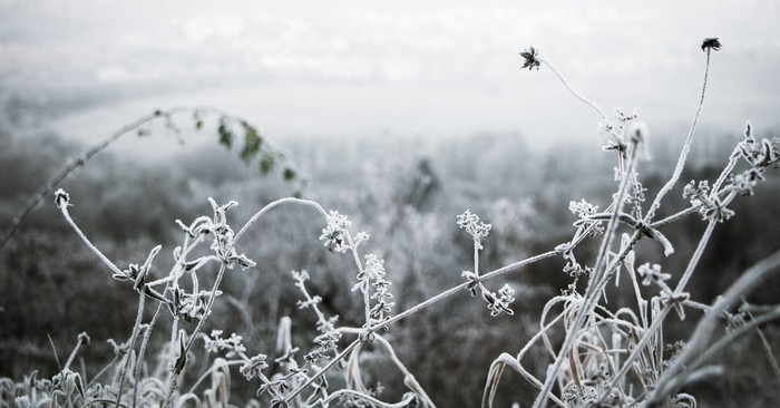 Winter Blues: 3 Steps You Can Take for a More Peaceful Season