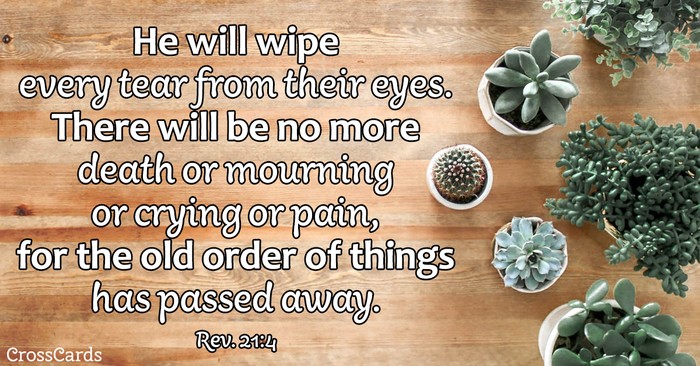Your Daily Verse - Revelation 21:4