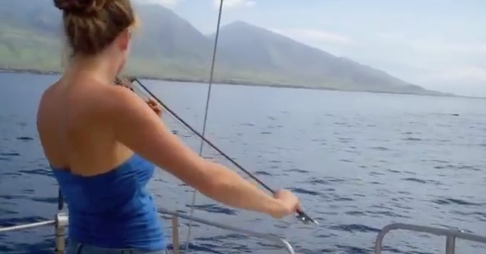 Whales Gather Around Boat When Woman Plays The Violin