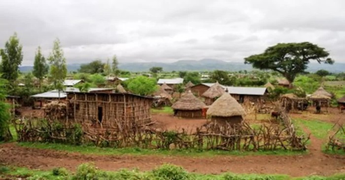 More than 7 Million Face Threats of Starvation across East Africa amid Pandemic, Locust Infestation, Violence