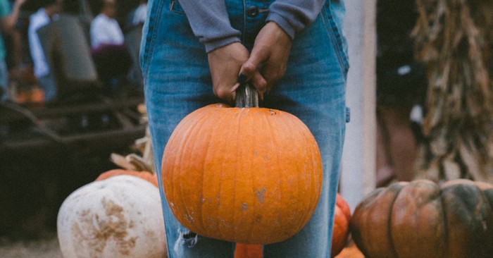 What Picking Pumpkins Taught Me about Love