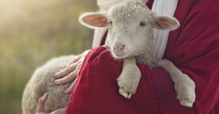 5-amazing-lessons-in-the-parable-of-the-lost-sheep