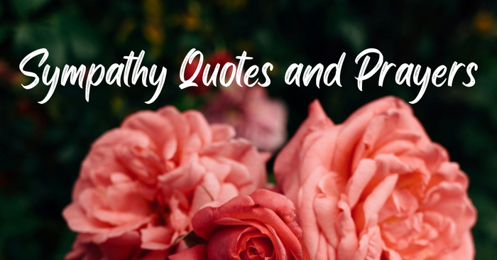 40 Sympathy Quotes and Prayers for Suffering People
