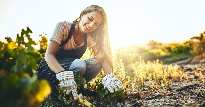 Grow Your Faith and Grow a Garden