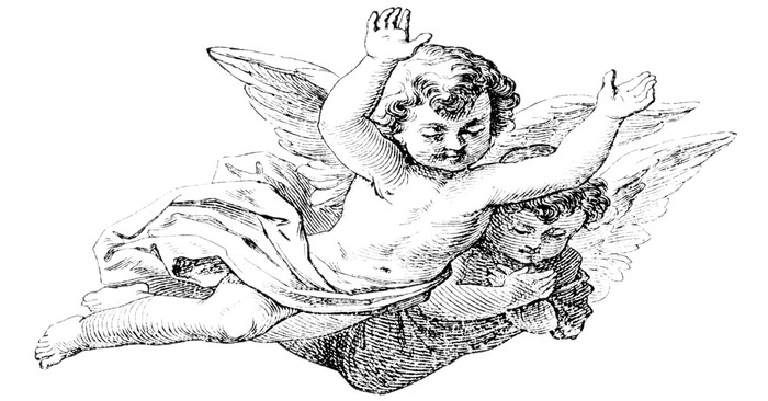 What Does a Cherub Look Like?