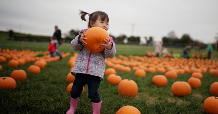Don t Celebrate Halloween Try These Party Ideas Instead