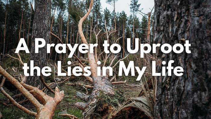 A Prayer to Uproot the Lies in My Life