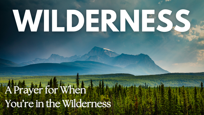 A Prayer for When You’re in the Wilderness | Your Daily Prayer