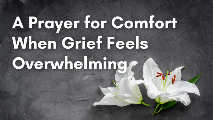 A Prayer for Comfort When Grief Feels Overwhelming | Your Daily Prayer