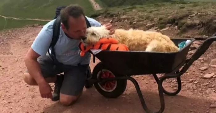 Man Puts His Dying Dog in a Wheelbarrow So They Can Go on One Final Adventure