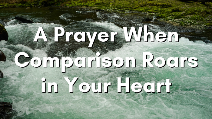 A Prayer When Comparison Roars in Your Heart | Your Daily Prayer