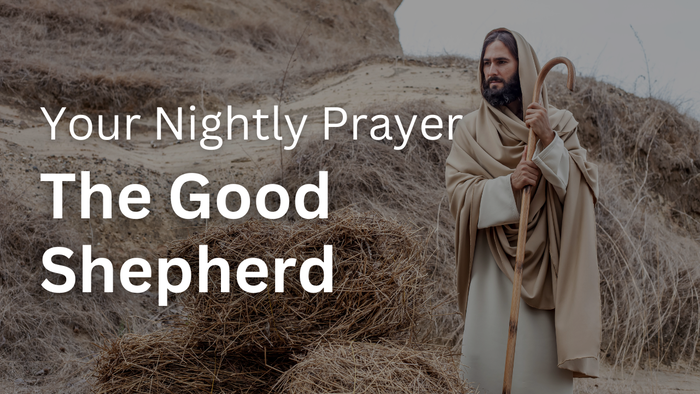 The Good Shepherd | Your Nightly Prayer