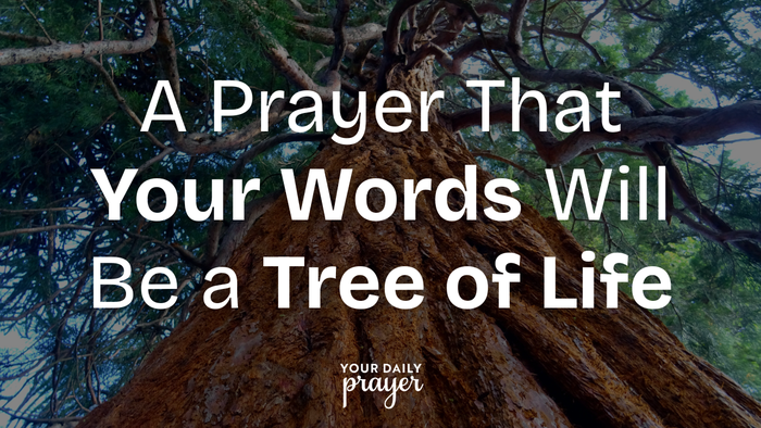 A Prayer That Your Words Will Be a Tree of Life | Your Daily Prayer