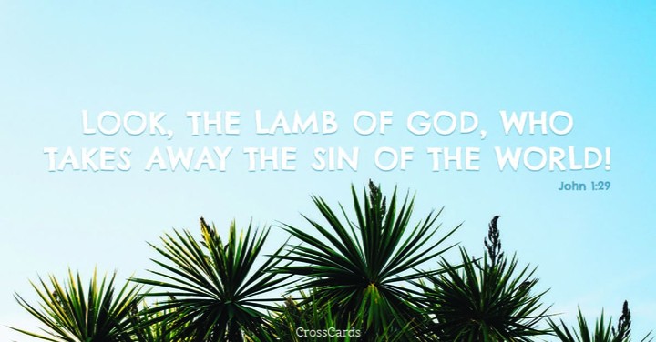 21 Top Bible Verses about Light - Beautiful Scriptures | Bible Study Tools