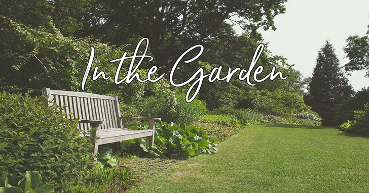 In The Garden Lyrics Hymn Meaning And Story