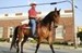 1cowboy4u