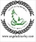 adsministries