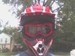 animalover17