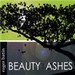 beeuwt4ashes