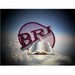bereanresearchinstitute