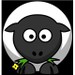 bibleflockbox